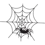 spider